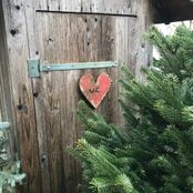weihnachtsbaumverkauf-torsten-lange-garten-und-landschaftsbau